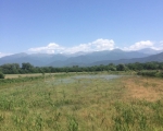 For Sale - Land