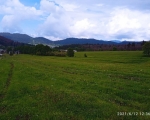 For Sale - Land