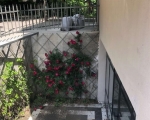 For Rent - Commercial space